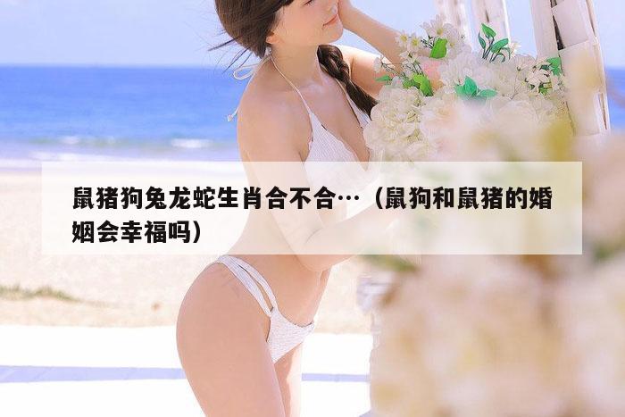 鼠猪狗兔龙蛇生肖合不合…（鼠狗和鼠猪的婚姻会幸福吗）